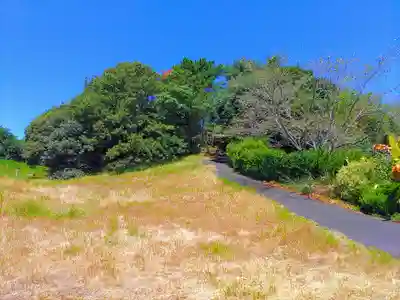 神明社(神明津砂原)の自然