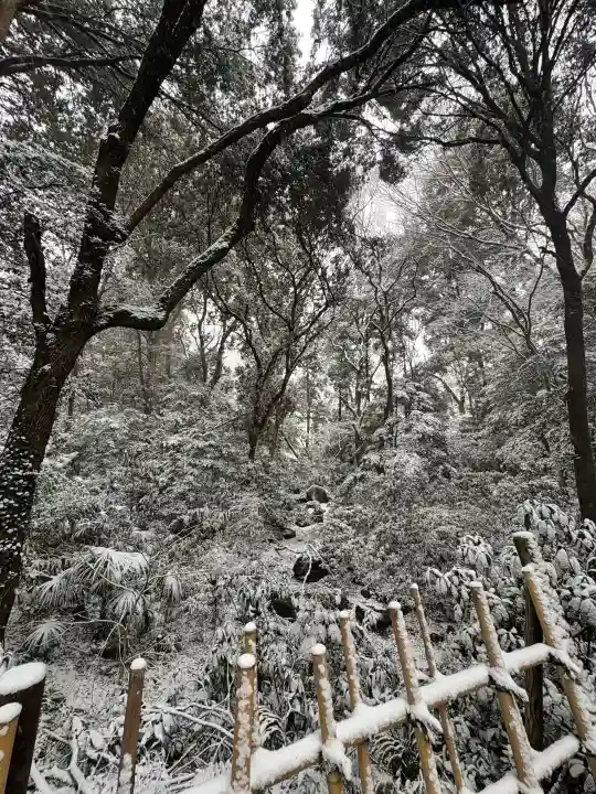 明治神宮の{uncategorized: "未分類", other: "その他", undefined: "問題あり", building: "その他建物", grave: "お墓", sacred_gate: "鳥居", guardian: "狛犬", statue: "像", buddha: "仏像", history: "歴史", nature: "自然", garden: "庭園", animal: "動物", pagoda: "塔", temizu: "手水舎", mountain_gate: "山門・神門", sanctuary: "本殿・本堂", subordinate: "末社・摂社", art: "芸術", scenery: "景色", jizo: "地蔵", ema: "絵馬", goshuin: "御朱印", omikuji: "おみくじ", items: "授与品その他", amulet: "お守り", goshuincho: "御朱印帳", eats: "食事", festival: "お祭り", votive_dance: "神楽", shichigosan: "七五三参", wedding: "結婚式", experience: "体験その他", initially: "初詣", around: "周辺", anti_infection: "感染症対策"}