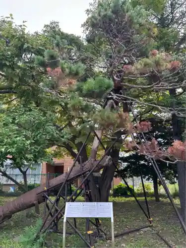 江南神社(北海道)