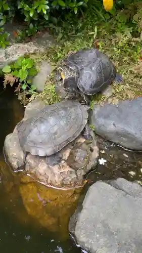 宝蔵寺(京都府)