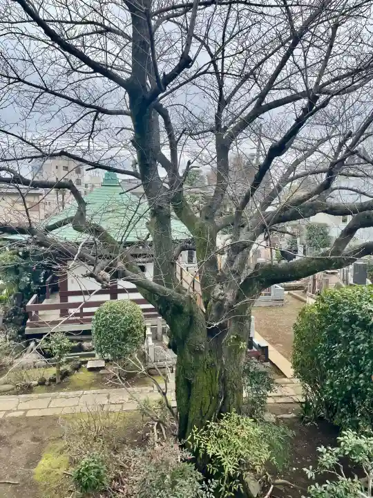 清源寺の{uncategorized: "未分類", other: "その他", undefined: "問題あり", building: "その他建物", grave: "お墓", sacred_gate: "鳥居", guardian: "狛犬", statue: "像", buddha: "仏像", history: "歴史", nature: "自然", garden: "庭園", animal: "動物", pagoda: "塔", temizu: "手水舎", mountain_gate: "山門・神門", sanctuary: "本殿・本堂", subordinate: "末社・摂社", art: "芸術", scenery: "景色", jizo: "地蔵", ema: "絵馬", goshuin: "御朱印", omikuji: "おみくじ", items: "授与品その他", amulet: "お守り", goshuincho: "御朱印帳", eats: "食事", festival: "お祭り", votive_dance: "神楽", shichigosan: "七五三参", wedding: "結婚式", experience: "体験その他", initially: "初詣", around: "周辺", anti_infection: "感染症対策"}