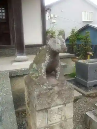 善行神社の狛犬