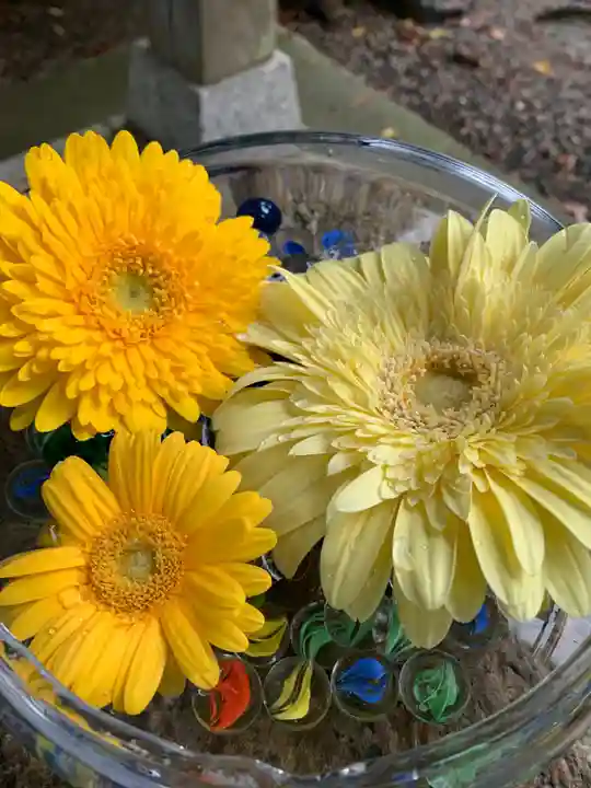 彌都加伎神社の手水舎