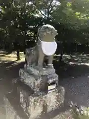 大麻比古神社の狛犬