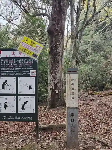 春日大社(奈良県)