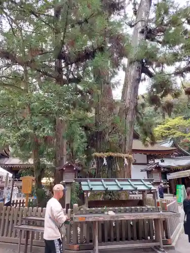 大神神社の{uncategorized: "未分類", other: "その他", undefined: "問題あり", building: "その他建物", grave: "お墓", sacred_gate: "鳥居", guardian: "狛犬", statue: "像", buddha: "仏像", history: "歴史", nature: "自然", garden: "庭園", animal: "動物", pagoda: "塔", temizu: "手水舎", mountain_gate: "山門・神門", sanctuary: "本殿・本堂", subordinate: "末社・摂社", art: "芸術", scenery: "景色", jizo: "地蔵", ema: "絵馬", goshuin: "御朱印", omikuji: "おみくじ", items: "授与品その他", amulet: "お守り", goshuincho: "御朱印帳", eats: "食事", festival: "お祭り", votive_dance: "神楽", shichigosan: "七五三参", wedding: "結婚式", experience: "体験その他", initially: "初詣", around: "周辺", anti_infection: "感染症対策"}