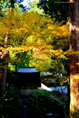 最乗寺（道了尊）(神奈川県)