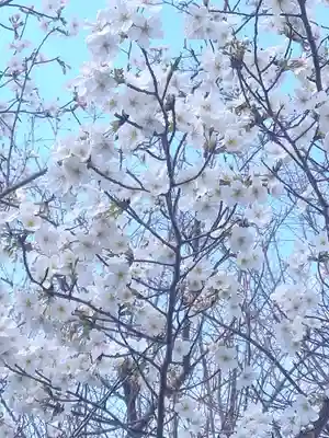 足高神社の自然
