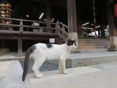 智恩寺(京都府)