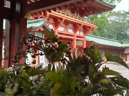 武蔵一宮氷川神社(埼玉県)