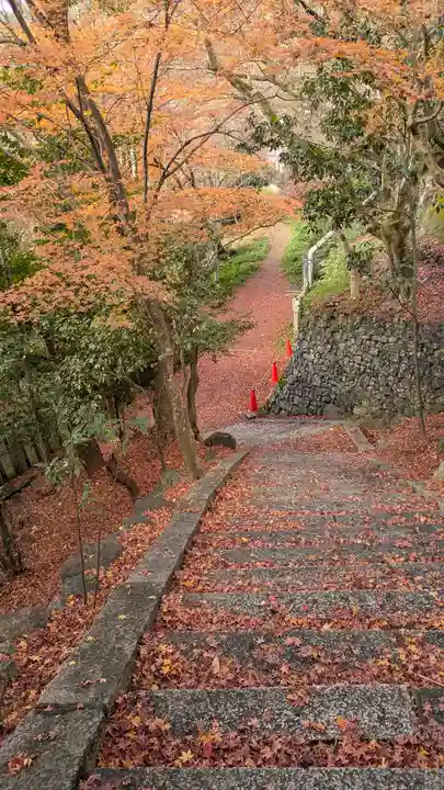 松ヶ崎大黒天 妙圓寺(妙円寺)(京都府)
