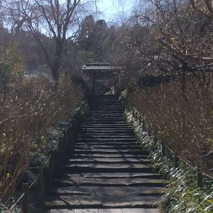 明月院(神奈川県)