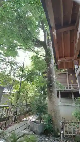 行田八幡神社(埼玉県)