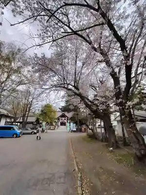 豊平神社のその他建物