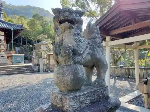 熊箇原八幡神社の狛犬