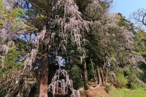 春日神社の庭園