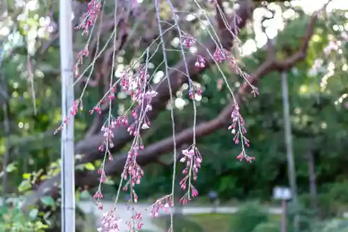 平安神宮(京都府)