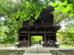 淨眞寺の山門