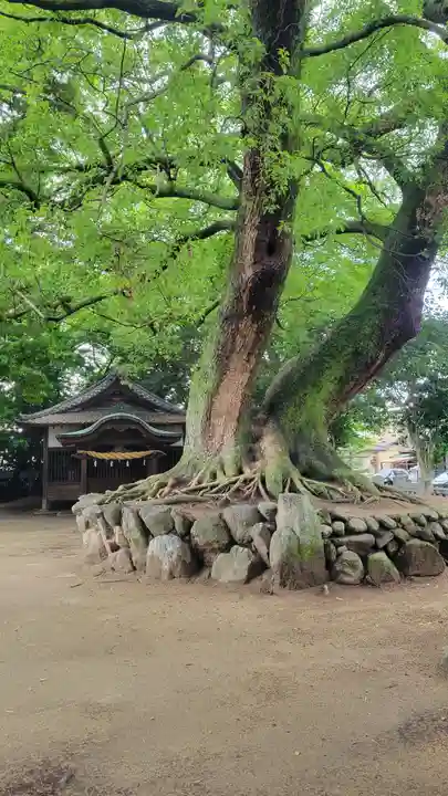 東山神社(愛媛県)