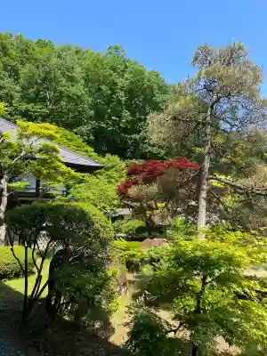 陽林寺の{uncategorized: "未分類", other: "その他", undefined: "問題あり", building: "その他建物", grave: "お墓", sacred_gate: "鳥居", guardian: "狛犬", statue: "像", buddha: "仏像", history: "歴史", nature: "自然", garden: "庭園", animal: "動物", pagoda: "塔", temizu: "手水舎", mountain_gate: "山門・神門", sanctuary: "本殿・本堂", subordinate: "末社・摂社", art: "芸術", scenery: "景色", jizo: "地蔵", ema: "絵馬", goshuin: "御朱印", omikuji: "おみくじ", items: "授与品その他", amulet: "お守り", goshuincho: "御朱印帳", eats: "食事", festival: "お祭り", votive_dance: "神楽", shichigosan: "七五三参", wedding: "結婚式", experience: "体験その他", initially: "初詣", around: "周辺", anti_infection: "感染症対策"}