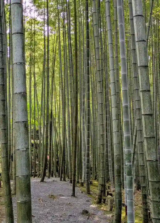 圓光寺(京都府)