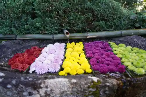 木幡山隠津島神社(二本松市)の手水舎