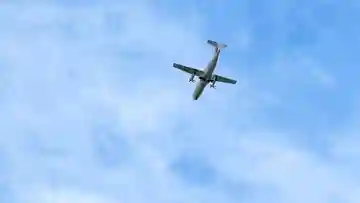 秋葉神社(兵庫県)