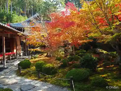 圓光寺(京都府)