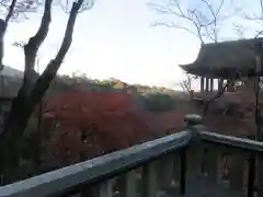 清水寺の景色