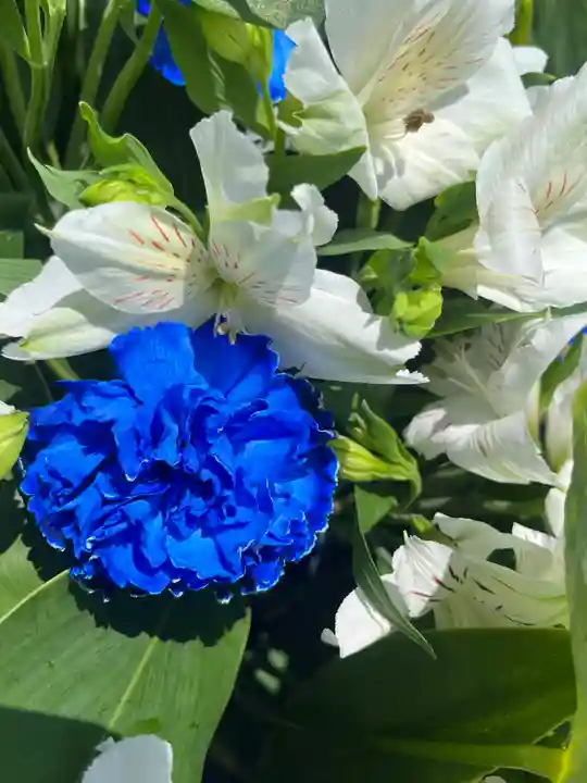 上尾御嶽神社の手水舎