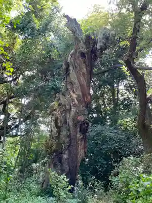 住吉神社(東京都)