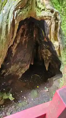 箱根神社(神奈川県)