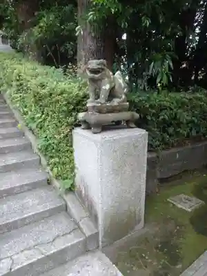 旭丘神社の狛犬
