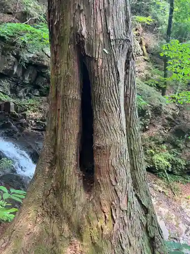 母の白滝神社(山梨県)