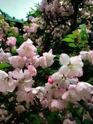 龍光寺(東京都)