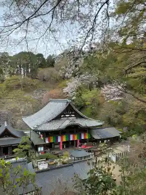 岡寺（龍蓋寺）の{uncategorized: "未分類", other: "その他", undefined: "問題あり", building: "その他建物", grave: "お墓", sacred_gate: "鳥居", guardian: "狛犬", statue: "像", buddha: "仏像", history: "歴史", nature: "自然", garden: "庭園", animal: "動物", pagoda: "塔", temizu: "手水舎", mountain_gate: "山門・神門", sanctuary: "本殿・本堂", subordinate: "末社・摂社", art: "芸術", scenery: "景色", jizo: "地蔵", ema: "絵馬", goshuin: "御朱印", omikuji: "おみくじ", items: "授与品その他", amulet: "お守り", goshuincho: "御朱印帳", eats: "食事", festival: "お祭り", votive_dance: "神楽", shichigosan: "七五三参", wedding: "結婚式", experience: "体験その他", initially: "初詣", around: "周辺", anti_infection: "感染症対策"}