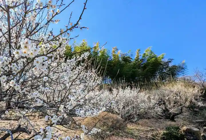 金蛇水神社(宮城県)