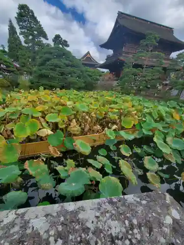 善光寺大勧進のその他建物