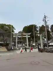 針綱神社の鳥居