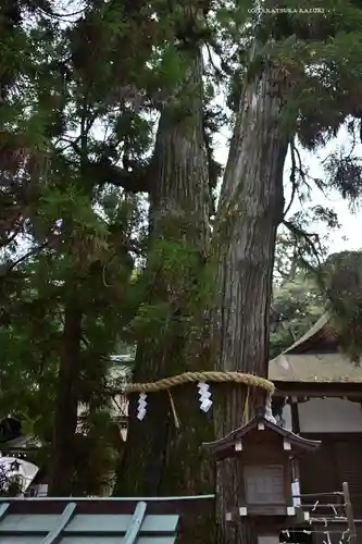 大神神社(奈良県)
