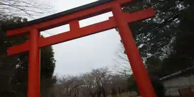 平野神社(京都府)