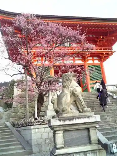 清水寺の狛犬