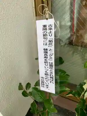 市比賣神社のその他建物
