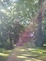 子安神社の自然