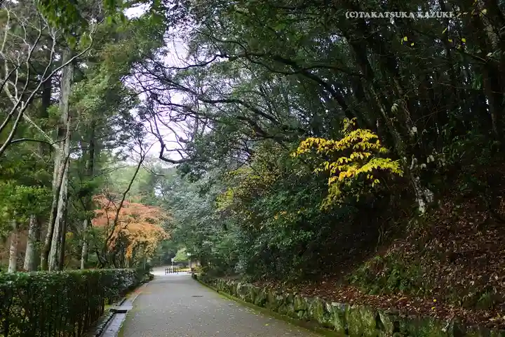 伊勢神宮内宮(皇大神宮)(三重県)