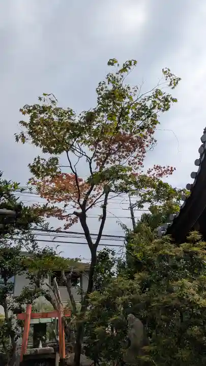 香雪院(京都府)