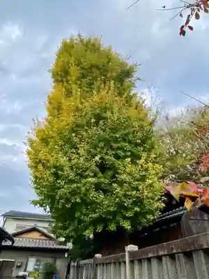 宇賀神社(京都府)