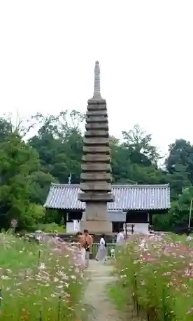 般若寺 ❁﻿コスモス寺❁の塔