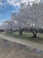 貴船神社の自然