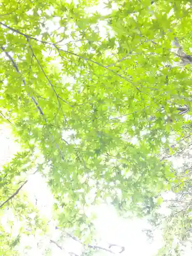 足高神社の自然